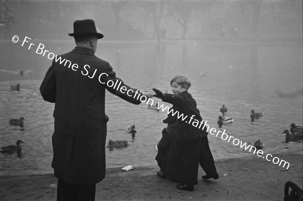 ST STEPHEN'S GREEN FEEDING  DUCKS